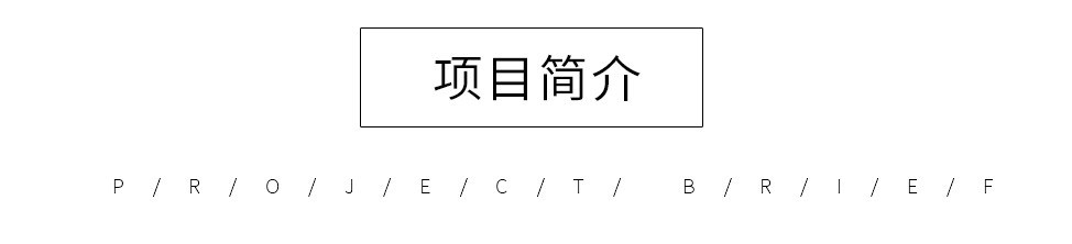 項(xiàng)目介紹.png